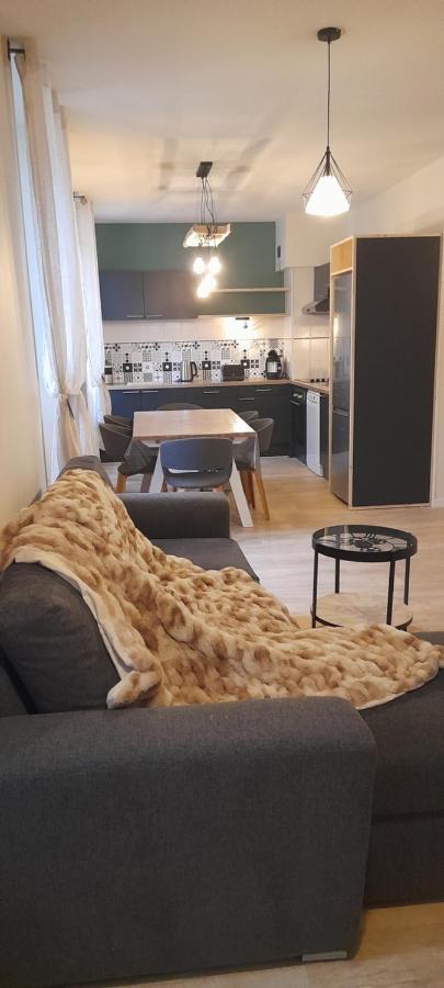 Tres Bel Appartement T3 Hyper Centre Entierement Renove En 2022 Люс-Сен-Совёр Экстерьер фото