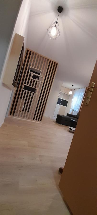 Tres Bel Appartement T3 Hyper Centre Entierement Renove En 2022 Люс-Сен-Совёр Экстерьер фото