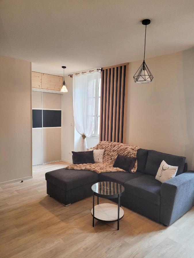 Tres Bel Appartement T3 Hyper Centre Entierement Renove En 2022 Люс-Сен-Совёр Экстерьер фото